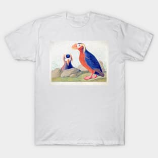 John Audubon Reimagined - Auk T-Shirt